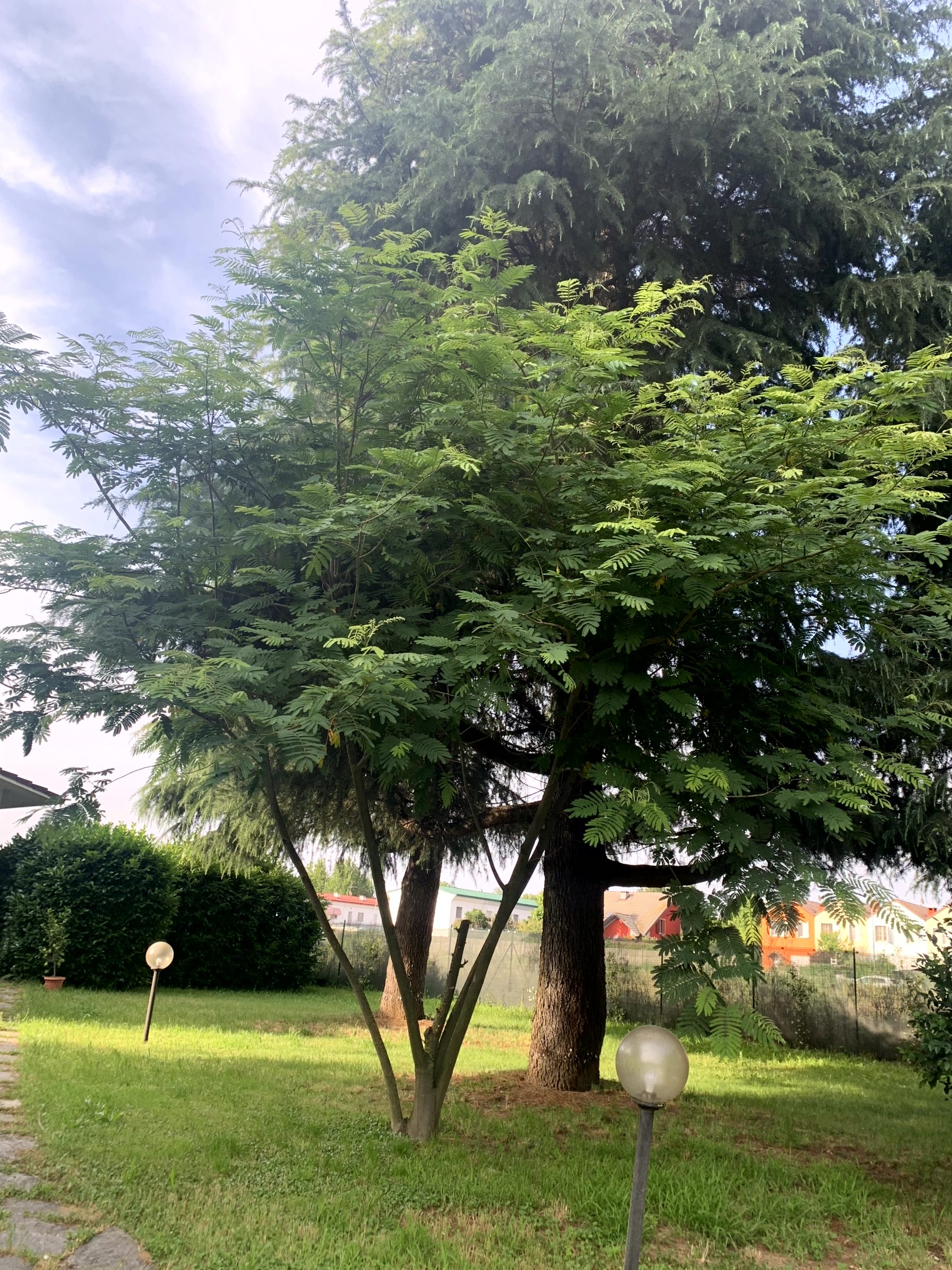 giardino-con-area-picnic-dorno