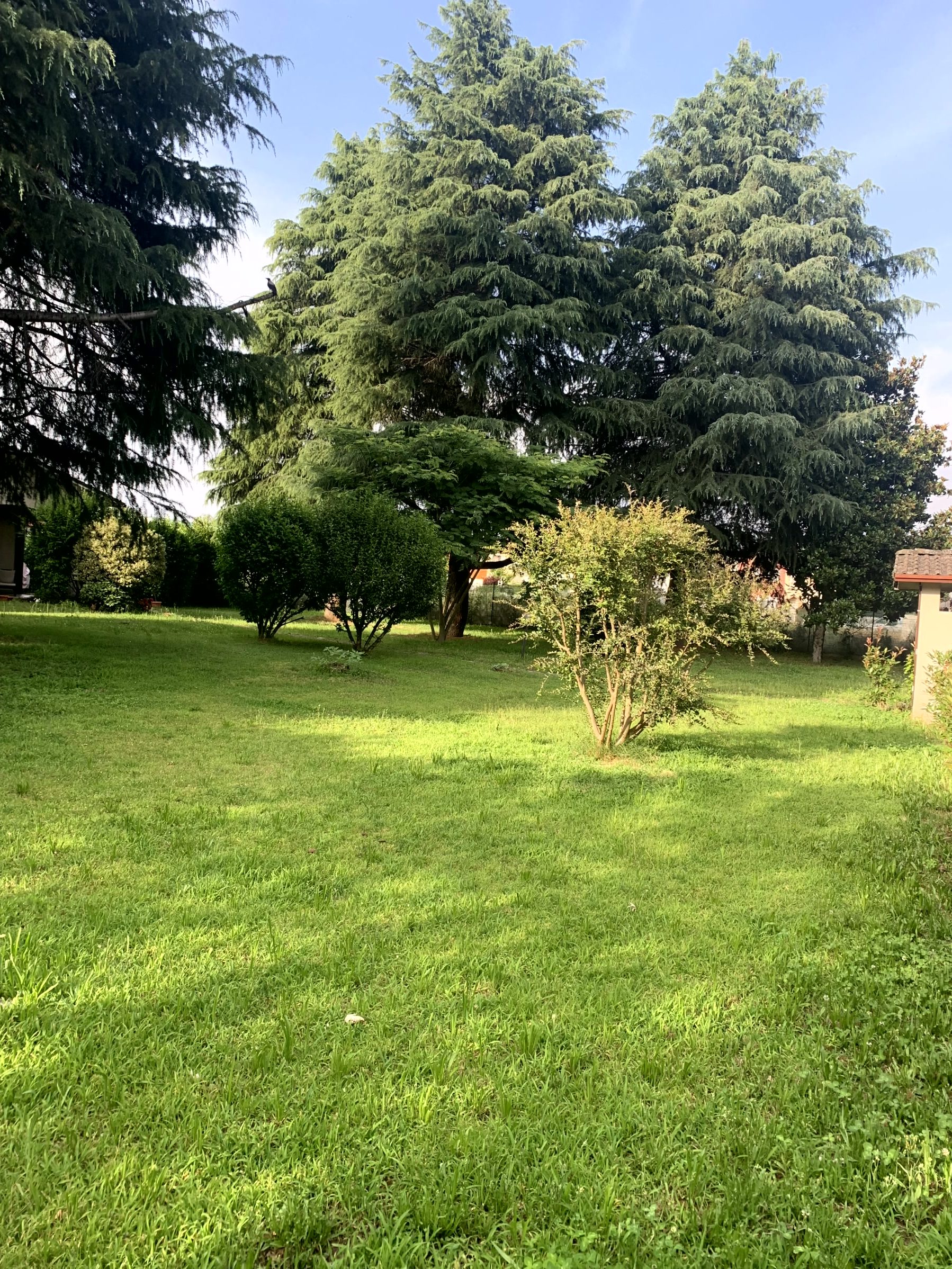 alt="Ingresso della casa a Dorno con giardino fiorito e ben curato, accoglie gli ospiti con un tocco di bellezza naturale"